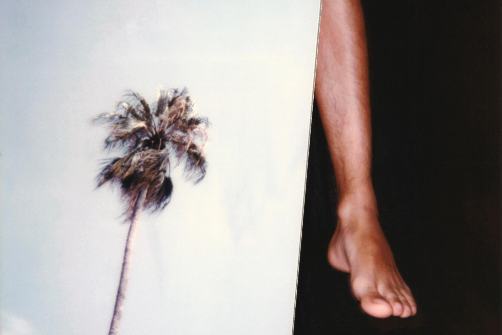 a polaroid photograph of a palm tree and a foot